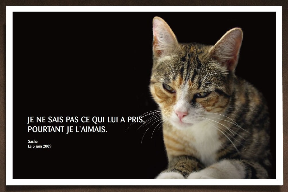 abandon - pourquoi ?