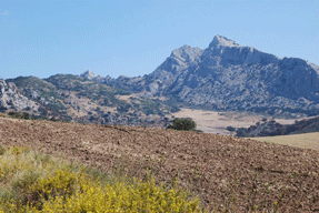 Montagnes d'Andalousie